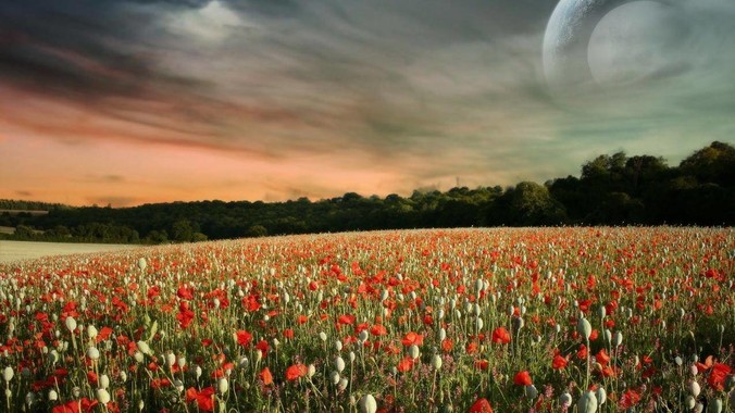 为什么中国主机带宽比美国贵5倍（原来错误的10000倍），比如阿里云？